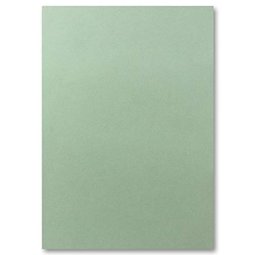 100x DIN A4 Papier - Eukalyptus (Grün) - 110 g/m² - 21 x 29,7 cm - Briefpapier Bastelpapier Tonpapier Briefbogen - FarbenFroh by GUSTAV NEUSER von FarbenFroh by GUSTAV NEUSER