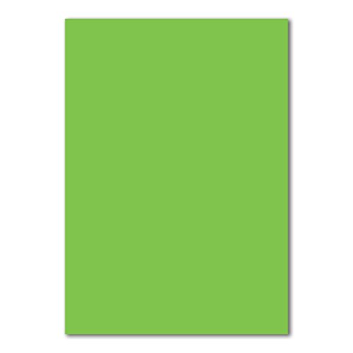 200 DIN A5 Einzelkarten Papierbögen - Hellgrün - 240 g/m² - 14,8 x 21 cm - Bastelbogen Tonpapier Fotokarton Bastelpapier Tonkarton - FarbenFroh von FarbenFroh by GUSTAV NEUSER