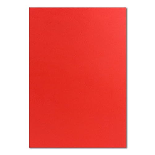 250 DIN A4 Papier-bögen Planobogen - Rot - 240 g/m² - 21 x 29,7 cm - Bastelbogen Ton-Papier Fotokarton Bastel-Papier Ton-Karton - FarbenFroh 250 DIN A4 Papier-bögen Planobogen - Rot - 240 g/m² - 21 x 29,7 cm - Bastelbogen Ton-Papier Fotokarton Bastel-Papier Ton-Karton - FarbenFroh von FarbenFroh by GUSTAV NEUSER