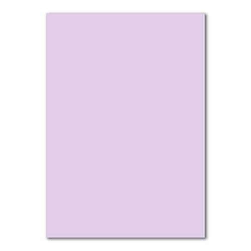 400 Blatt DIN A5 Papier - Flieder - 120gr - 14,8 x 21cm - Bastelbogen Tonpapier Bastelpapier Briefbogen - FarbenFroh by GUSTAV NEUSER 400 Blatt DIN A5 Papier - Flieder - 120gr - 14,8 x 21cm - Bastelbogen Tonpapier Bastelpapier Briefbogen - FarbenFroh by GUSTAV NEUSER von FarbenFroh by GUSTAV NEUSER