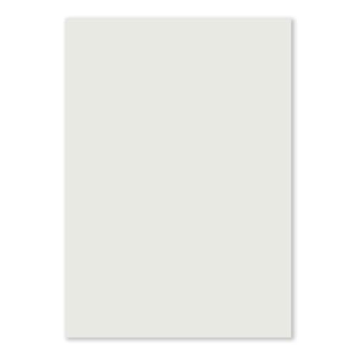 500 DIN A5 Einzelkarten Papierbögen - Hellgrau - 240 g/m² - 14,8 x 21 cm - Bastelbogen Tonpapier Fotokarton Bastelpapier Tonkarton - FarbenFroh 500 DIN A5 Einzelkarten Papierbögen - Hellgrau - 240 g/m² - 14,8 x 21 cm - Bastelbogen Tonpapier Fotokarton Bastelpapier Tonkarton - FarbenFroh von FarbenFroh by GUSTAV NEUSER
