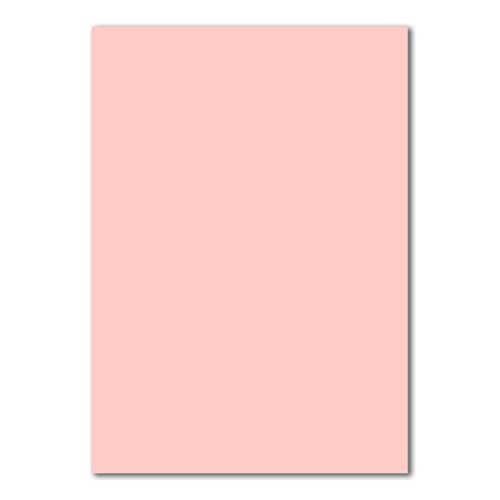 50x DIN A4 Papier - Rosa - 110 g/m² - 21 x 29,7 cm - Briefpapier Bastelpapier Tonpapier Briefbogen - FarbenFroh by GUSTAV NEUSER 50x DIN A4 Papier - Rosa - 110 g/m² - 21 x 29,7 cm - Briefpapier Bastelpapier Tonpapier Briefbogen - FarbenFroh by GUSTAV NEUSER von FarbenFroh by GUSTAV NEUSER
