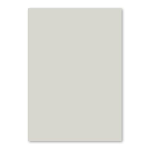 FarbenFroh by GUSTAV NEUSER 100x DIN A4 Papier - Hellgrau (Grau) - 110 g/m² - 21 x 29,7 cm - Briefpapier Bastelpapier Tonpapier Briefbogen von FarbenFroh by GUSTAV NEUSER
