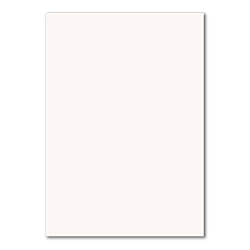 250x DIN A4 Papier - Hochweiß (Weiß) - 110 g/m² - 21 x 29,7 cm - Briefpapier Bastelpapier Tonpapier Briefbogen - FarbenFroh by GUSTAV NEUSER von FarbenFroh by GUSTAV NEUSER
