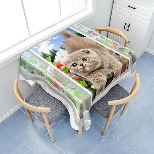 Fasbuy Tischdecke Abwaschbar, Quadratisch TischdeckenTischtuch aus Polyester Wasserabweisend mit Lotuseffekt, Draußen Tischwäsche Tischtuchklammern, 3D Fenster (Katze,60x60cm) von Fasbuy