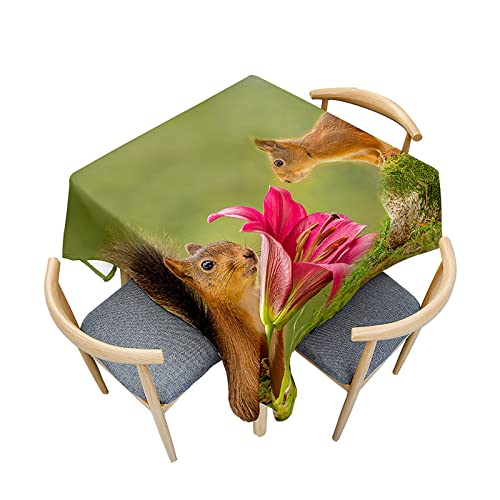 Fasbuy Tischdecke Abwaschbar Quadratisch, 3D Eichhörnchen Muster Tischdecke Lotuseffekt Schmutzabweisend Tisch Decken Tischtuch Modern Tischwäsche, 4 Klammer (Prunkwinde,120x120cm) von Fasbuy