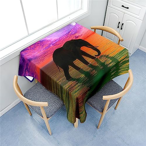 Fasbuy Tischdecke Abwaschbar Quadratisch, 3D Elefant Muster Tischdecke Lotuseffekt Schmutzabweisend Tisch Decken Tischtuch Tischwäsche Modern Mitteldecke, 4 Klammer (80x80cm,Dämmerung) von Fasbuy
