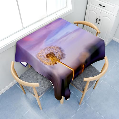 Fasbuy Tischdecke Abwaschbar Quadratisch, 3D Löwenzahn Muster Tischdecke Lotuseffekt Schmutzabweisend Tisch Decken Tischtuch Tischwäsche Modern Mitteldecke, 4 Klammer (Dämmerung,200x200cm) von Fasbuy