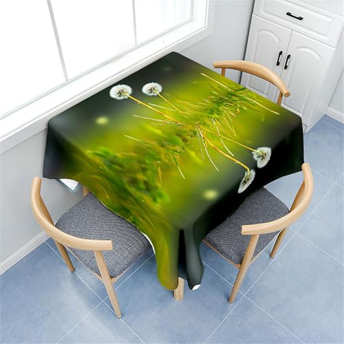 Fasbuy Tischdecke Abwaschbar Quadratisch, 3D Löwenzahn Muster Tischdecke Lotuseffekt Schmutzabweisend Tisch Decken Tischtuch Tischwäsche Modern Mitteldecke, 4 Klammer (Löwenzahn,100x100cm) von Fasbuy