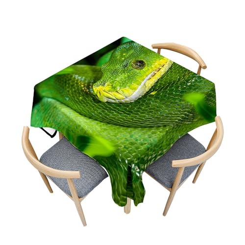 Fasbuy Tischdecke Abwaschbar Quadratisch Tischdecken, 3D Schlange Tischtuch aus Polyester Wasserabweisend mit Lotuseffekt, Draußen Tischwäsche Mit Tischtuchklammern (Grün,80x80cm) von Fasbuy