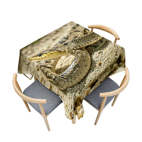 Fasbuy Tischdecke Abwaschbar Quadratisch Tischdecken, 3D Schlange Tischtuch aus Polyester Wasserabweisend mit Lotuseffekt, Draußen Tischwäsche Mit Tischtuchklammern (Sand,80x80cm) von Fasbuy