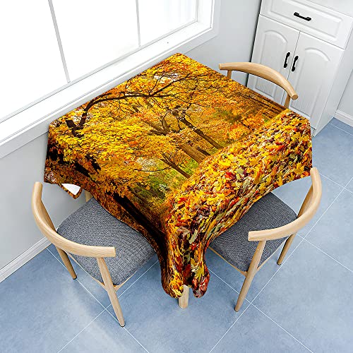 Fasbuy Tischdecke Abwaschbar mit Tischtuchklammern Quadratisch Tischdecken, Tischtuch aus Polyester mit Lotuseffekt, Herbst Drucken Tischwäsche für Küche (Wald,80x80cm) von Fasbuy