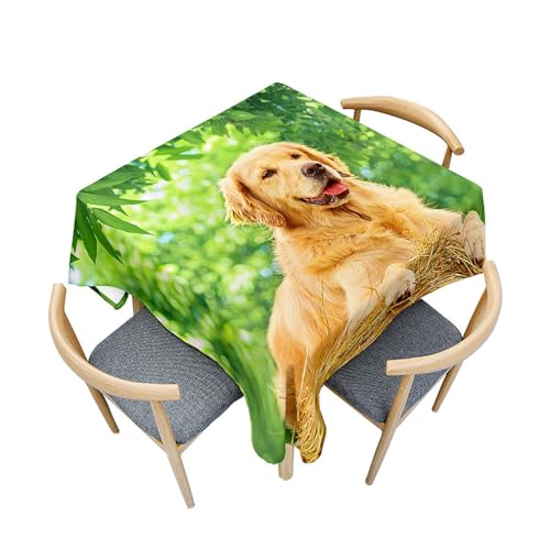 Fasbuy Tischdecke Quadratisch Abwaschbar, 3D Hund Welpe Muster Tischdecke Lotuseffekt Schmutzabweisend Tisch Decken Tischtuch Modern Tischwäsche für Küche, 4 Klammer (Baum Blatt,100x100cm) von Fasbuy