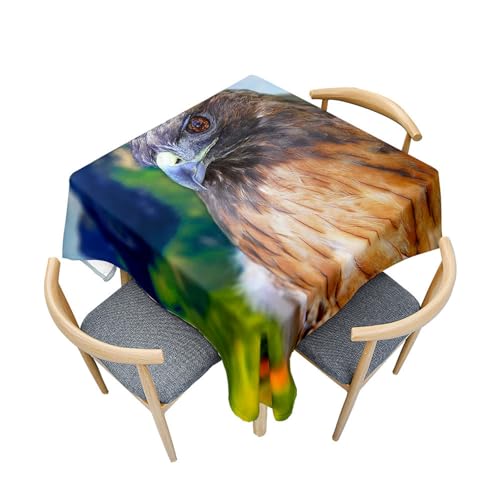 Fasbuy Tischdecke Quadratisch Abwaschbar,3D Adler Muster Tischdecke Lotuseffekt Schmutzabweisend Tisch Decken Tischtuch für Küche Geburtstag Garten Esszimmer, 4 Klammer (Braun Adler,150x150cm) von Fasbuy