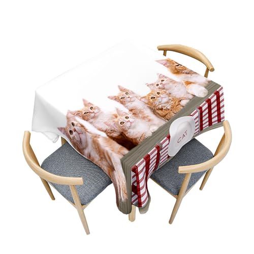 Fasbuy Tischdecke Quadratisch Abwaschbar,3D Katze Kätzchen Muster Tischdecke Lotuseffekt Schmutzabweisend Tisch Decken Tischtuch Tischwäsche für Küche Garten, 4 Klammer (Orange Katze,80x80cm) von Fasbuy