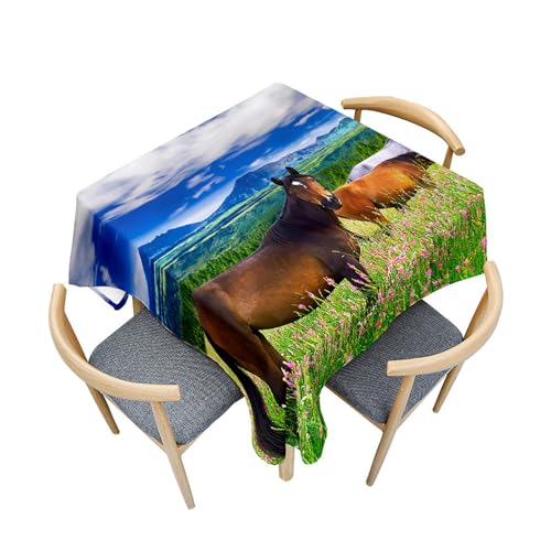 Fasbuy Tischdecke Quadratisch Abwaschbar,3D Pferd Muster Tischdecke Lotuseffekt Schmutzabweisend Tisch Decken Tischtuch Tischwäsche für Küche Geburtstag Garten, 4 Klammer (Grasland,60x60cm) von Fasbuy
