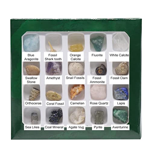 20 Arten von natürlichen Kristall-Achat-Steinen in Mini-Größe, Mineralien, Fossilien, Kinder-Lehrmaterialien für Geologie-Enthusiasten, Sammlungsgeschenke von Fauitay