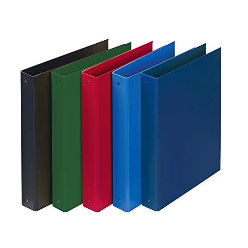 Favorit Europa Box mit 10 Ringbüchern, Durchmesser 30 mm, Format 22 x 30 cm, enthält die folgenden Farben: Schwarz, Rot, Blau, Hellblau, Grün von Favorit