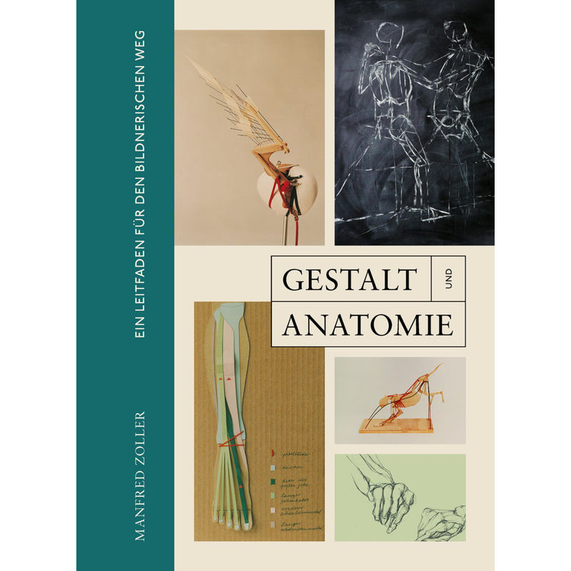 Gestalt Und Anatomie - Manfred Zoller, Gebunden von Favoritenpresse