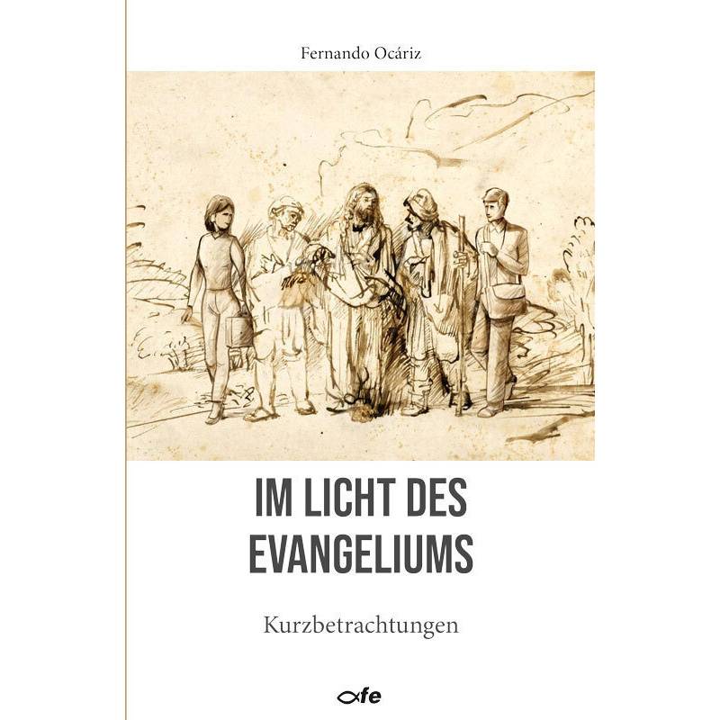 Im Licht Des Evangeliums - Fernando Ocáriz, Gebunden von Fe-Medienverlag
