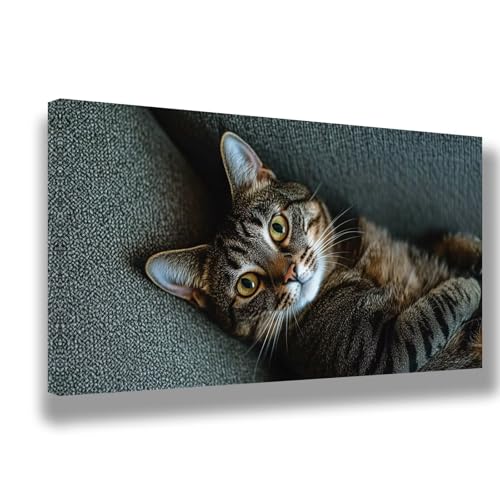 Malen Nach Zahlen Erwachsene Katze Malen Nach Zahlen Tier Bild Malen-Nach-Zahlen, DIY ölgemäLde Kit für Anfänger Kinder, Lustige Geschenke für Geburtstag, Weihnachten (Ohne Rahmen) 100x200cm, 1539-W von Feeaxeae