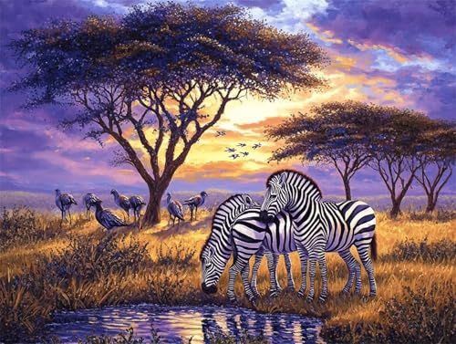 Tier Malen Nach Zahlen Erwachsene, DIY Malen Nach Zahlen Zebra Malen Nach Zahlen mit Rahmen Leinwand 40x50 cm, Ölgemälde Kit Mit Pinseln und Acrylfarbe, Wanddeko Wohnzimmer, Geschenke für Frauen -k169 Tier Malen Nach Zahlen Erwachsene, DIY Malen Nach Zahlen Zebra Malen Nach Zahlen mit Rahmen Leinwand 40x50 cm, Ölgemälde Kit Mit Pinseln und Acrylfarbe, Wanddeko Wohnzimmer, Geschenke für Frauen -k169 von Feeaxeae