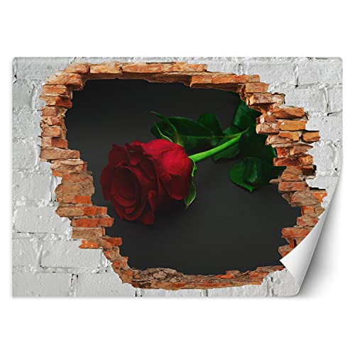 Feeby Fototapete 3D Abstraktion Loch in der Wand Natur 250x175 cm Rot Vlies Wandtapete Tapeten Wohnzimmer Schlafzimmer Büro Flur Moderne Design Wandbilder Wand Dekoration Rosen Blume Feeby Fototapete 3D Abstraktion Loch in der Wand Natur 250x175 cm Rot Vlies Wandtapete Tapeten Wohnzimmer Schlafzimmer Büro Flur Moderne Design Wandbilder Wand Dekoration Rosen Blume von Feeby