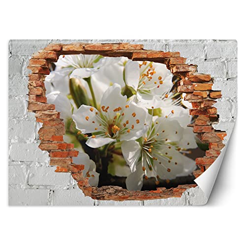 Feeby Fototapete Abstraktion Natur Loch in der Wand 200x140 cm Weiß XXL Vlies Wandtapete Tapeten Wohnzimmer Schlafzimmer Büro Flur Moderne Design Wandbilder Wand Dekoration Baum Apfelblüte Zweig von Feeby