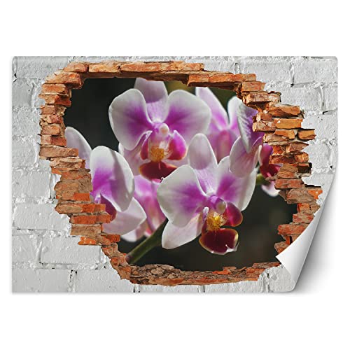 Feeby Fototapete Loch in der Wand Abstrakt Natur 200x140 cm Violett XXL Vlies Wandtapete Tapeten Wohnzimmer Schlafzimmer Büro Flur Moderne Design Wandbilder Wand Dekoration Orchidee Feeby Fototapete Loch in der Wand Abstrakt Natur 200x140 cm Violett XXL Vlies Wandtapete Tapeten Wohnzimmer Schlafzimmer Büro Flur Moderne Design Wandbilder Wand Dekoration Orchidee von Feeby
