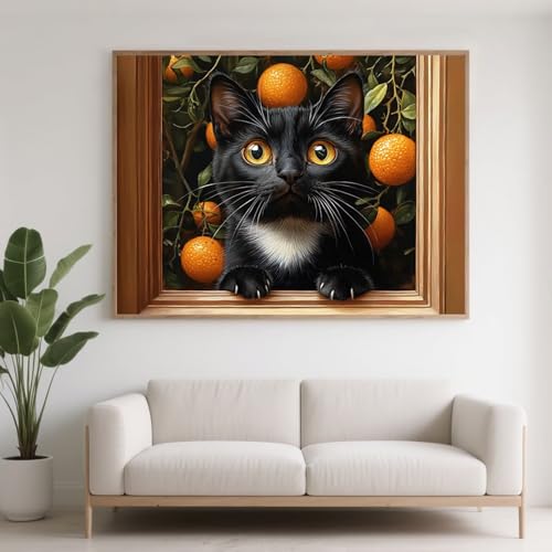 Diamond Painting Erwachsene Tier Diamant Painting Bilder Katze, 5D Diamond Art Basteln Mädchen 8 Jahre, DIY Stickerei Kreuzstich Diamant Malere für Zimmer Deko, Geschenke für Frauen 40x30 cm F0-316 Diamond Painting Erwachsene Tier Diamant Painting Bilder Katze, 5D Diamond Art Basteln Mädchen 8 Jahre, DIY Stickerei Kreuzstich Diamant Malere für Zimmer Deko, Geschenke für Frauen 40x30 cm F0-316 von FeiPride