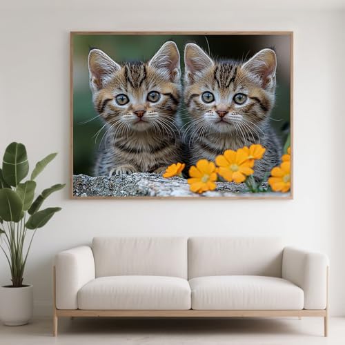 Diamond Painting Erwachsene Tier Diamant Painting Bilder Katze, 5D Diamond Art Basteln Mädchen 8 Jahre, DIY Stickerei Kreuzstich Diamant Malere für Zimmer Deko, Geschenke für Frauen 40x30 cm F0-376 Diamond Painting Erwachsene Tier Diamant Painting Bilder Katze, 5D Diamond Art Basteln Mädchen 8 Jahre, DIY Stickerei Kreuzstich Diamant Malere für Zimmer Deko, Geschenke für Frauen 40x30 cm F0-376 von FeiPride