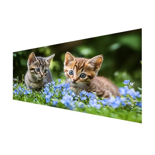 Katze Diamond Painting XXL 200x100 cm, Diamant Painting Bilder Erwachsene Blume, DIY 5D Eckige Steine Basteln Mädchen 8 Jahre, Diamant Malerei Strass Stickerei Kunst Set für Zimmer Deko Geschenke M-9 Katze Diamond Painting XXL 200x100 cm, Diamant Painting Bilder Erwachsene Blume, DIY 5D Eckige Steine Basteln Mädchen 8 Jahre, Diamant Malerei Strass Stickerei Kunst Set für Zimmer Deko Geschenke M-9 von FeiPride