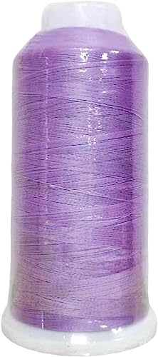1 x Polyester-Nähgarn, leuchtet im Dunkeln, buntes Stickgarn, Handnähgarn, lila 1 x Polyester-Nähgarn, leuchtet im Dunkeln, buntes Stickgarn, Handnähgarn, lila von FengQingHuaGG