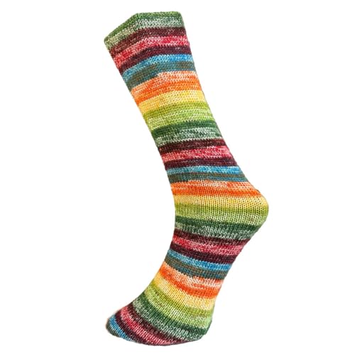 FERNER WOLLE Mally Socks 6-Fach Merino 2024 734-24 von Ferner Wolle