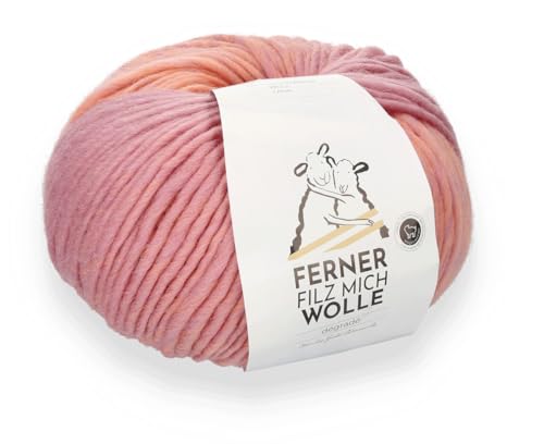 Ferner Wolle Filz Mich, Filzwolle mit Farbverlauf, 200g, 100% Wolle, für zwei gleiche Filzschuhe, mit Trennfaden, strickfilzen, stricken und filzen in der Waschmaschine (F2053) von Ferner Wolle
