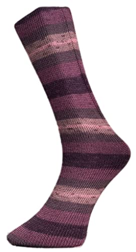 Ferner Wolle Lungauer Sockenwolle 4-Fach Merino 502-22 von Ferner Wolle