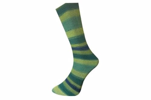 Ferner Wolle Mally Socks 6-fach Merino 641-23 von FERNER WOLLE