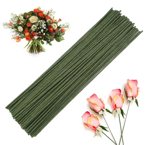 100 Stück Blumendraht Grün, 25cm Floristikdraht, Steckdraht Floristik Draht 2mm Floristendraht, Drahtstäbe zum Basteln, Blumenstiele, Blumenstieldraht für Künstlichen Blumen, Blumenbouquets 100 Stück Blumendraht Grün, 25cm Floristikdraht, Steckdraht Floristik Draht 2mm Floristendraht, Drahtstäbe zum Basteln, Blumenstiele, Blumenstieldraht für Künstlichen Blumen, Blumenbouquets von FerraDrend