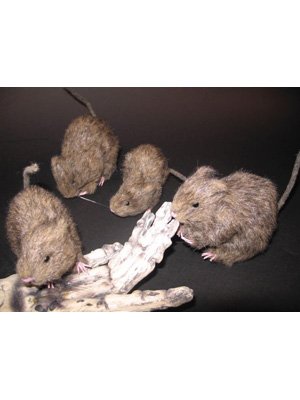 Halloweendeko - 1 Stück Ratte mit Fell - ca. 15 cm Halloweendeko - 1 Stück Ratte mit Fell - ca. 15 cm von Festartikel-Müller