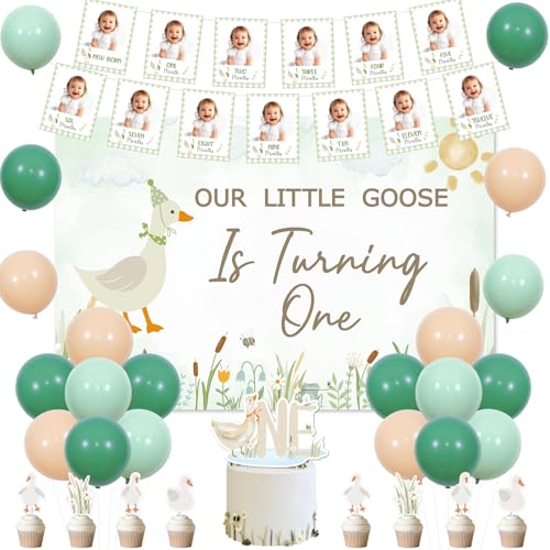 Goose 1. Geburtstag Party Dekorationen grün Our Little Goose Is Turning One Hintergrund Silly Gänse Erster Geburtstag Foto Banner von Neugeborenen bis 12 Monate Cake Toppers Ballons für Jungen 1 von Festiblast