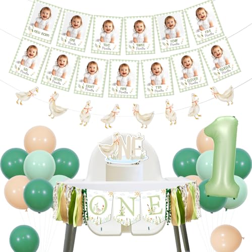 Goose 1st Birthday Decorations A Little Silly Goose is Turning One High Chair Banner Gänse Monatliches Foto Banner Girlande Cake Topper Grün Nummer 1 Folienballon für Jungen Erste Geburtstagsfeier Goose 1st Birthday Decorations A Little Silly Goose is Turning One High Chair Banner Gänse Monatliches Foto Banner Girlande Cake Topper Grün Nummer 1 Folienballon für Jungen Erste Geburtstagsfeier von Festiblast