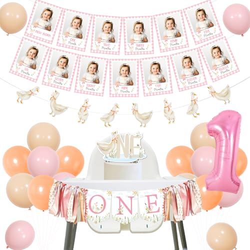 Goose 1st Birthday Decorations A Little Silly Goose is Turning One High Chair Banner Pink Gänse Monatliches Foto Banner Girlande Cake Topper Rosa Nummer 1 Folienballon für Mädchen Erste Goose 1st Birthday Decorations A Little Silly Goose is Turning One High Chair Banner Pink Gänse Monatliches Foto Banner Girlande Cake Topper Rosa Nummer 1 Folienballon für Mädchen Erste von Festiblast
