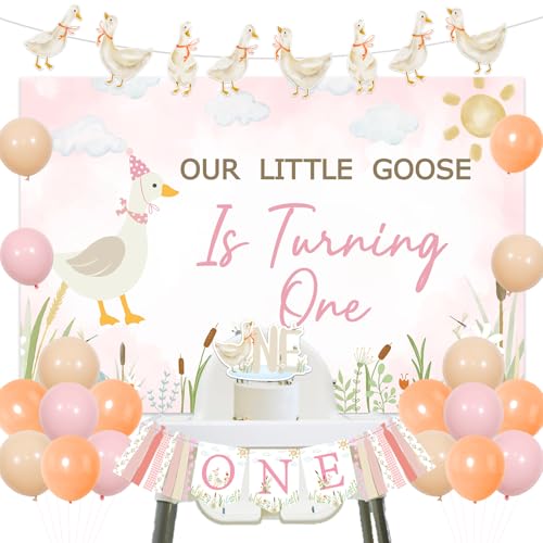 One Silly Goose 1. Geburtstag Dekoration, rosa Aquarell Bauernhof Tier Themed Hintergrund Ente Floral Geburtstag Banner Bauernhof Ente Cupcake Topper Latex Ballons für Kinder Mädchen erster Geburtstag von Festiblast