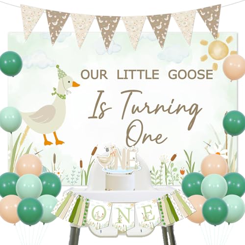 One Silly Goose 1. Geburtstag Dekorationen Bauernhof Tier Themed Hintergrund Ente Floral Geburtstag Banner Bauernhof Ente Cupcake Topper Latex Ballons für Kinder Jungen Mädchen Erster Geburtstag von Festiblast