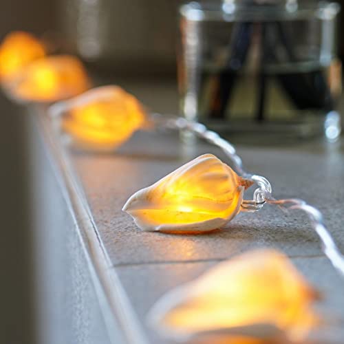 Festive Lights 1,5m batteriebetriebene Muschel Lichterkette mit 10 LEDs warmweiß echte Muscheln mit Timer Maritime Deko Lichterkette Nautische Deko Muschellampe Badezimmer Modern von Festive Lights