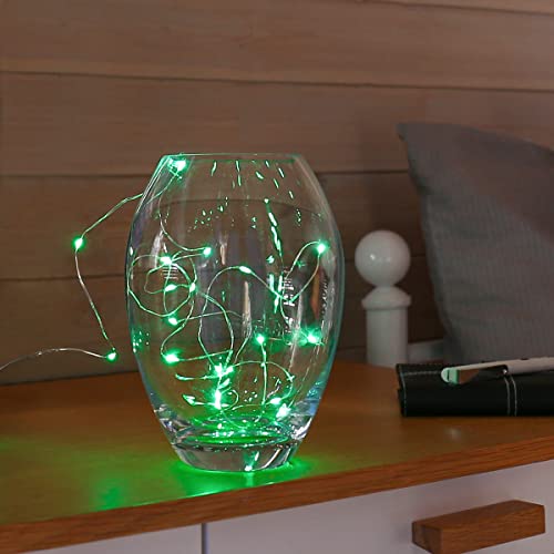 Festive Lights batteriebetriebene, wetterfeste Innen & Outdoor Lichterkette – 2m – 20 Mikro-Draht LEDs - zusätzliche Timer & Blink-Funktion, (grün) von Festive Lights