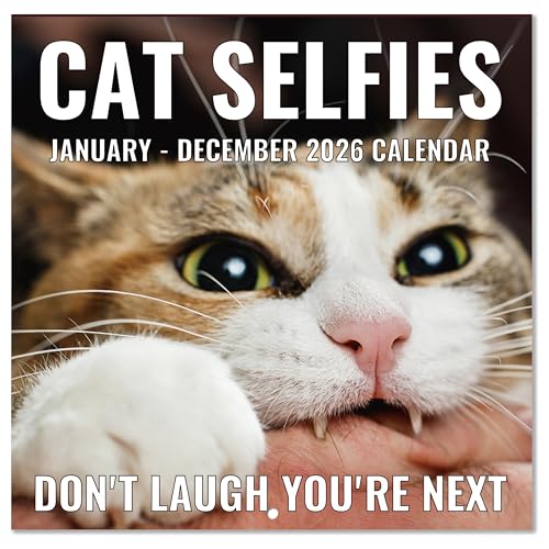 Wandkalender 2026 - Lustige Katzen Kalender 2026, 30,5 x 61 cm (offen), Januar 2026 - Dezember 2026, 12-Monatskalender, Lovely Cat Selfies Kalender, unlinierte Blöcke, dickes Papier, Loch zum von Feteulo