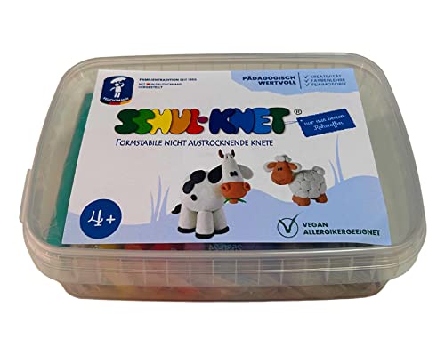 Feuchtmann SCHUL-KNET Box Maxi | Knetset 10 x 40g Kinderknete in Stangen | vegane und glutenfreie Spielknete | nicht trocknende Knete | ungiftige Modelliermasse für Kinder von Feuchtmann