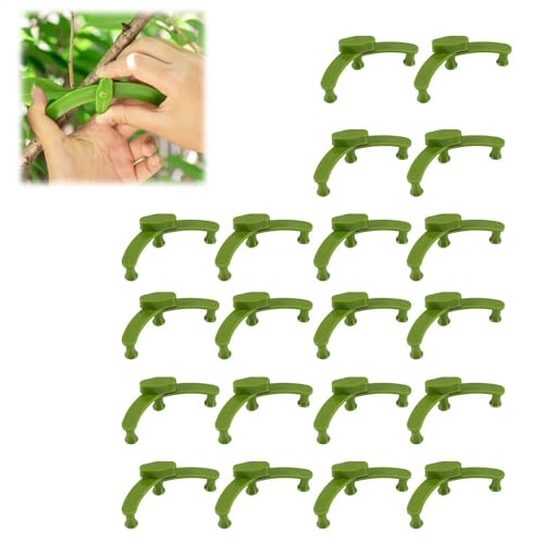 Fgbetcv Astspreizer, verstellbar, Obstbaum-Zweigspreizer, Abzieher zum Formen, Aststützzubehör, wiederverwendbar, Bonsai-Modellierwerkzeug für Hofbäume, 20 Stück von Fgbetcv