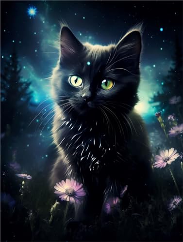 schwarze Katze Malen Nach Zahlen Erwachsene, Tier Malen Nach Zahlen Klein 30x40cm, DIY Handgemalt Ölgemälde Kit für Anfänger Bastelset Erwachsene, Acrylfarben Set Wand Deko Bilder Ohne Rahmen, Gifts schwarze Katze Malen Nach Zahlen Erwachsene, Tier Malen Nach Zahlen Klein 30x40cm, DIY Handgemalt Ölgemälde Kit für Anfänger Bastelset Erwachsene, Acrylfarben Set Wand Deko Bilder Ohne Rahmen, Gifts von Fheeao